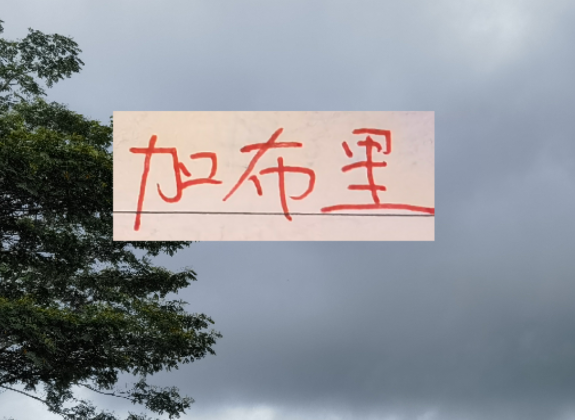 乐竞体育-是走还是留？ 海港加布里埃尔国内跟国外说法不一样
